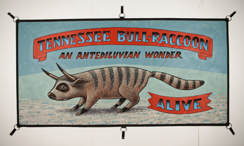 Bull Raccoon Banner